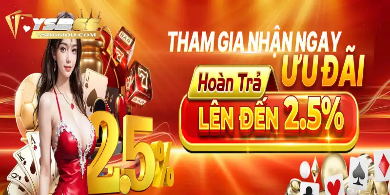Khuyến Mãi Hoàn Trả YSB66: Nhận Lại Tiền Thưởng Hấp Dẫn 2 Chi tiết cách thức đăng ký hưởng ưu đãi