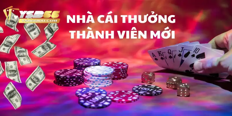 Khuyến Mãi Tân Thủ Tại YSB66 Dành Cho Người Mới Bắt Đầu 1 Khuyến mãi tân thủ YSB66 hút hồn người chơi