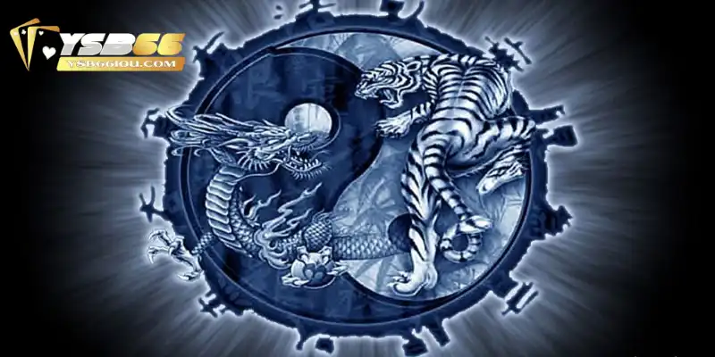 Rồng Hổ YSB66: Trải Nghiệm Cá Cược Thú Vị Và Dễ Thắng 3 Các hình thức cược và tỷ lệ ăn thưởng